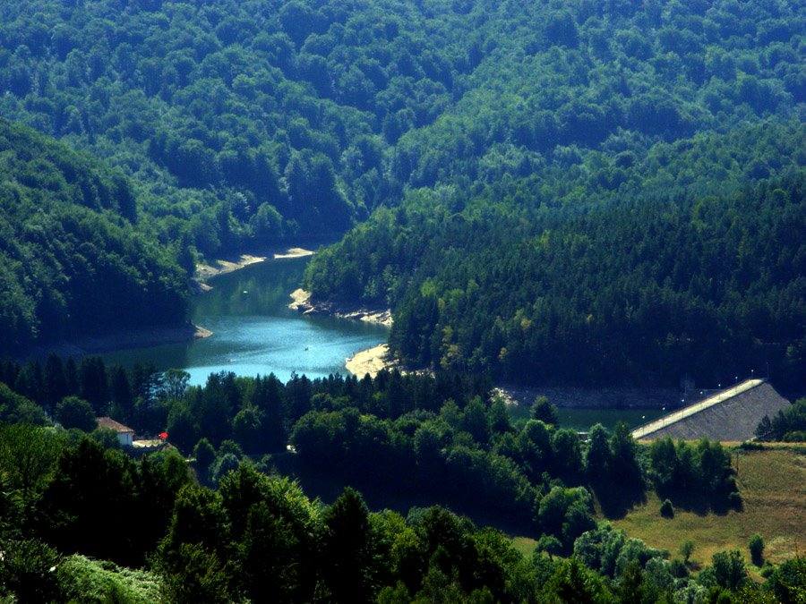 Crivaia
