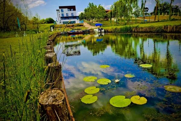 Dunavățu de Jos