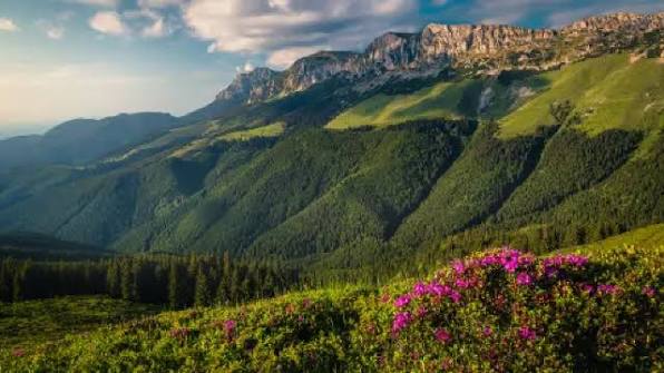 Poiana Țapului