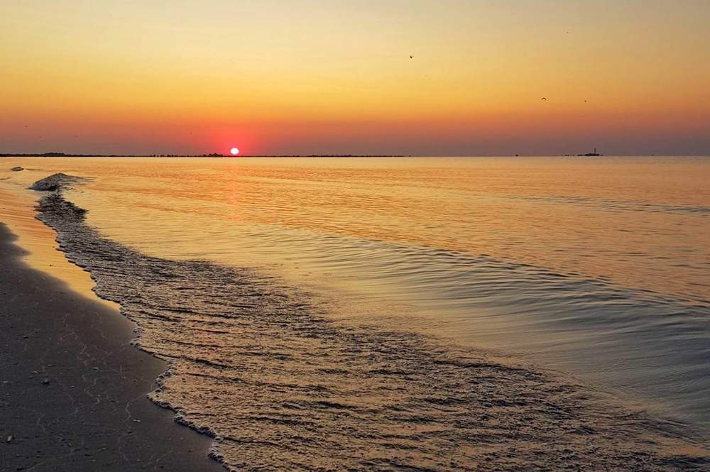 Sulina